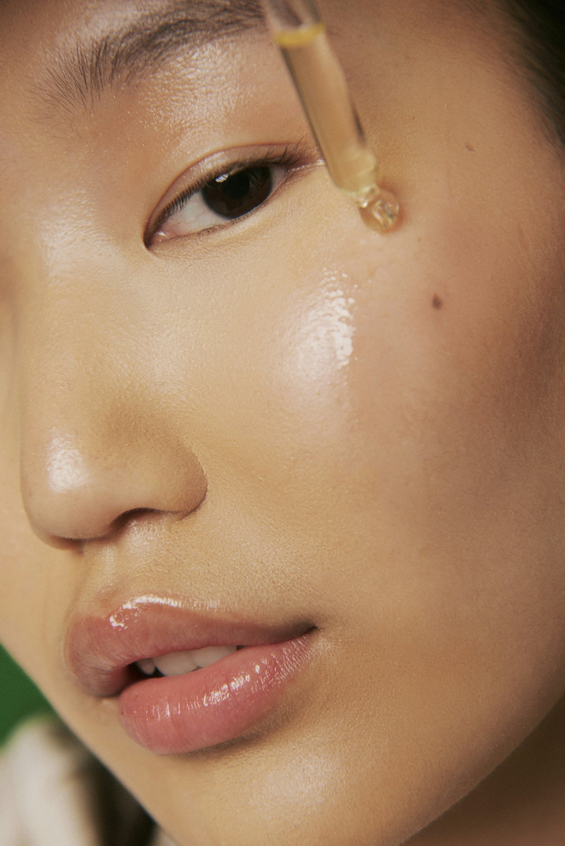 Master Korean Glass Skin The Vegan Way